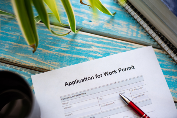 asylum work permit